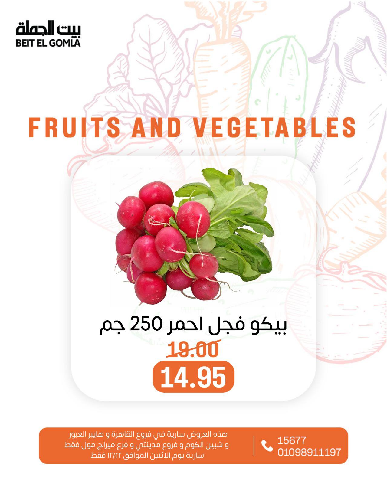 beit-elgomla offers from 22dec to 22dec 2025 عروض بيت الجملة من 22 ديسمبر حتى 22 ديسمبر 2025 صفحة رقم 17